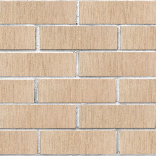 Кирпич ЛСР лицевой керамический пустотелый 1НФ слоновая кость тростник