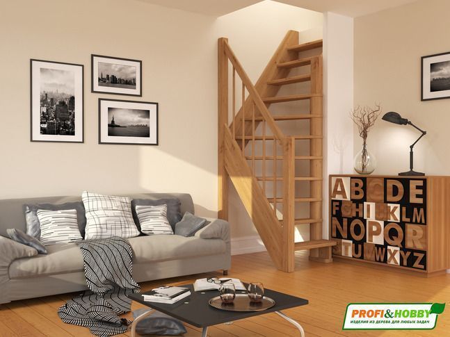 Лестница ЛС-91м - Фото №1