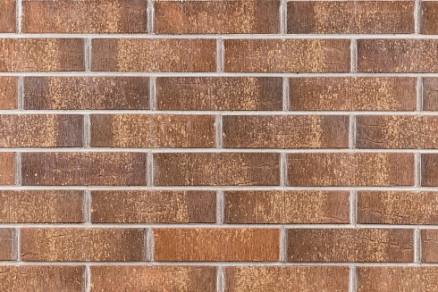 Тайга вулканы Дар земли 0,7нф